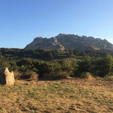 Casa Fochita - Single With Private Pool Gratteri